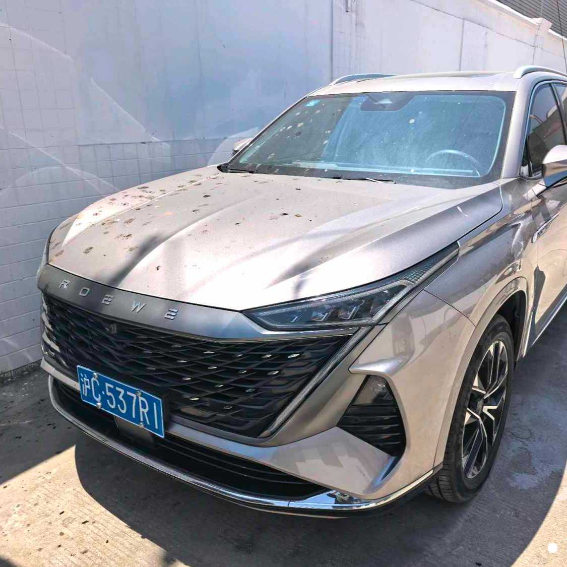 ROEWE RX9 2023 2.0T 4WD Premium Edition 二手车