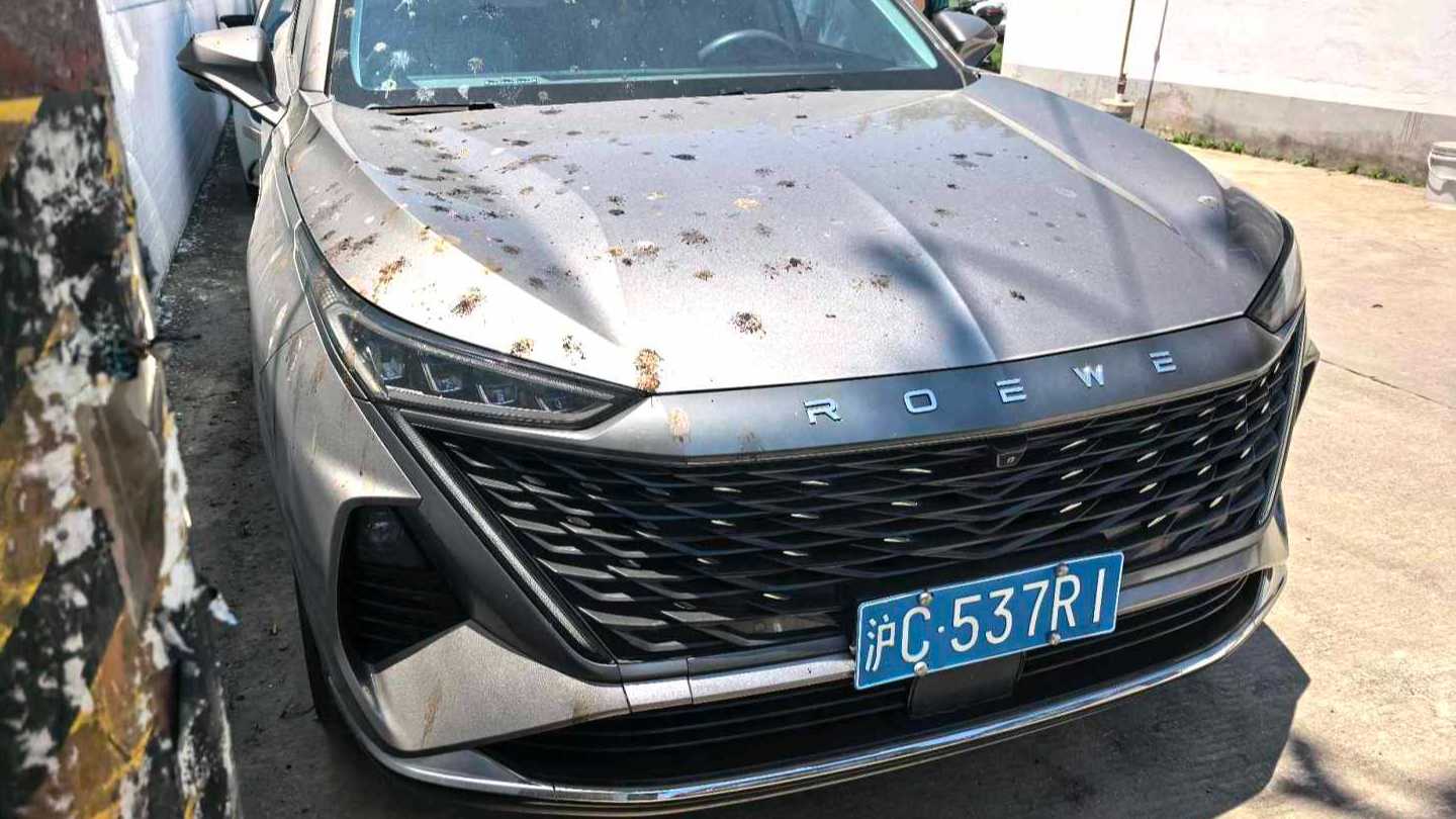ROEWE RX9 2023 2.0T 4WD Premium Edition