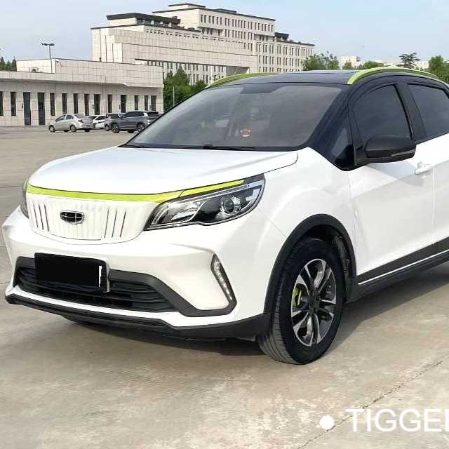 GEOME EX3 2021 Kung Fu Niu Niu 二手车