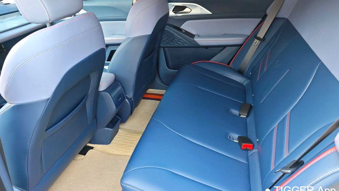 GEOME E 2023 401KM Linglong Tiger with 5 seats