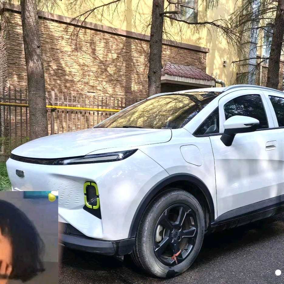GEOME E 2022 320KM obedient tiger with 4 seats 二手车