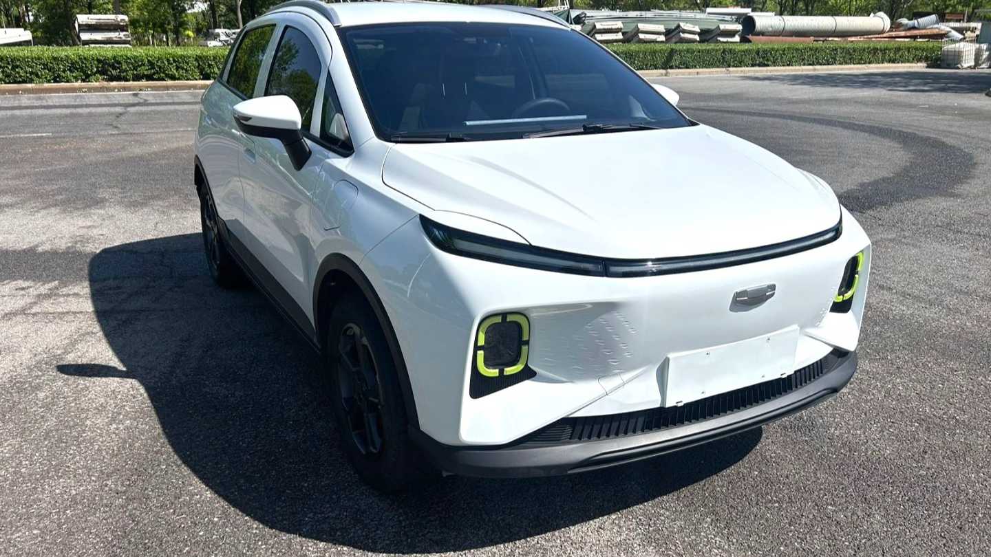 GEOME E 2023 320KM Handsome Tiger with 5 seats