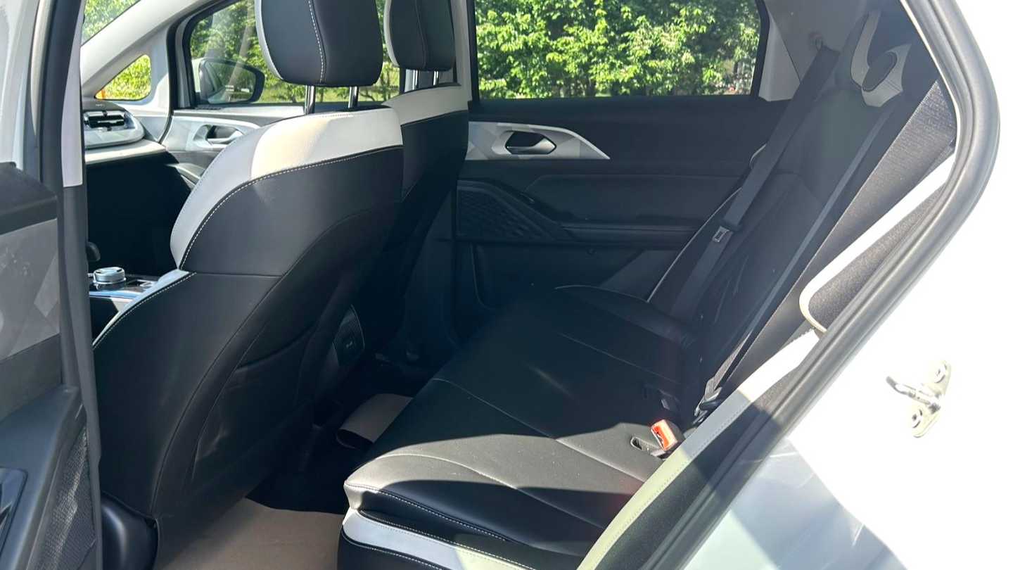 GEOME E 2023 320KM Handsome Tiger with 5 seats