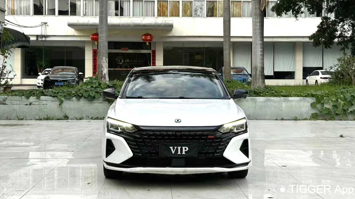 AEOLUS Yi Xuan MAX 2021 1.5T Super Dazzling Trendy Dad Edition