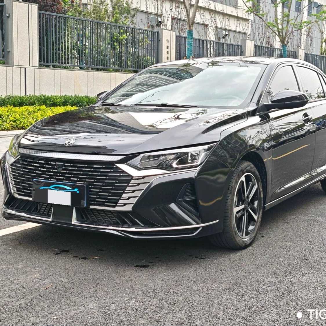 AEOLUS Yi Xuan MAX 2024 1.5T Luxury Edition 二手车