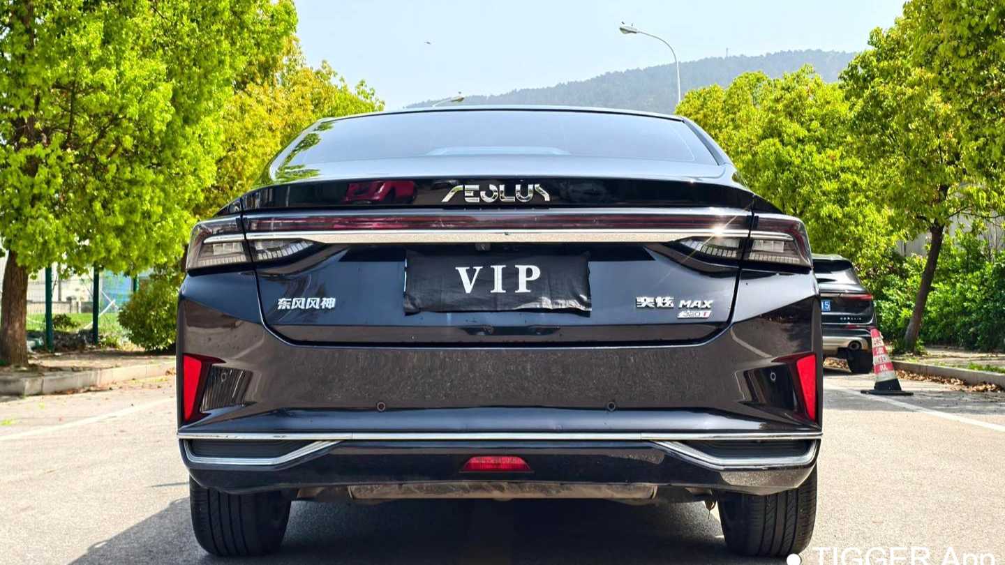 AEOLUS Yi Xuan MAX 2022 1.5T Super Handsome Trendy Dad Edition