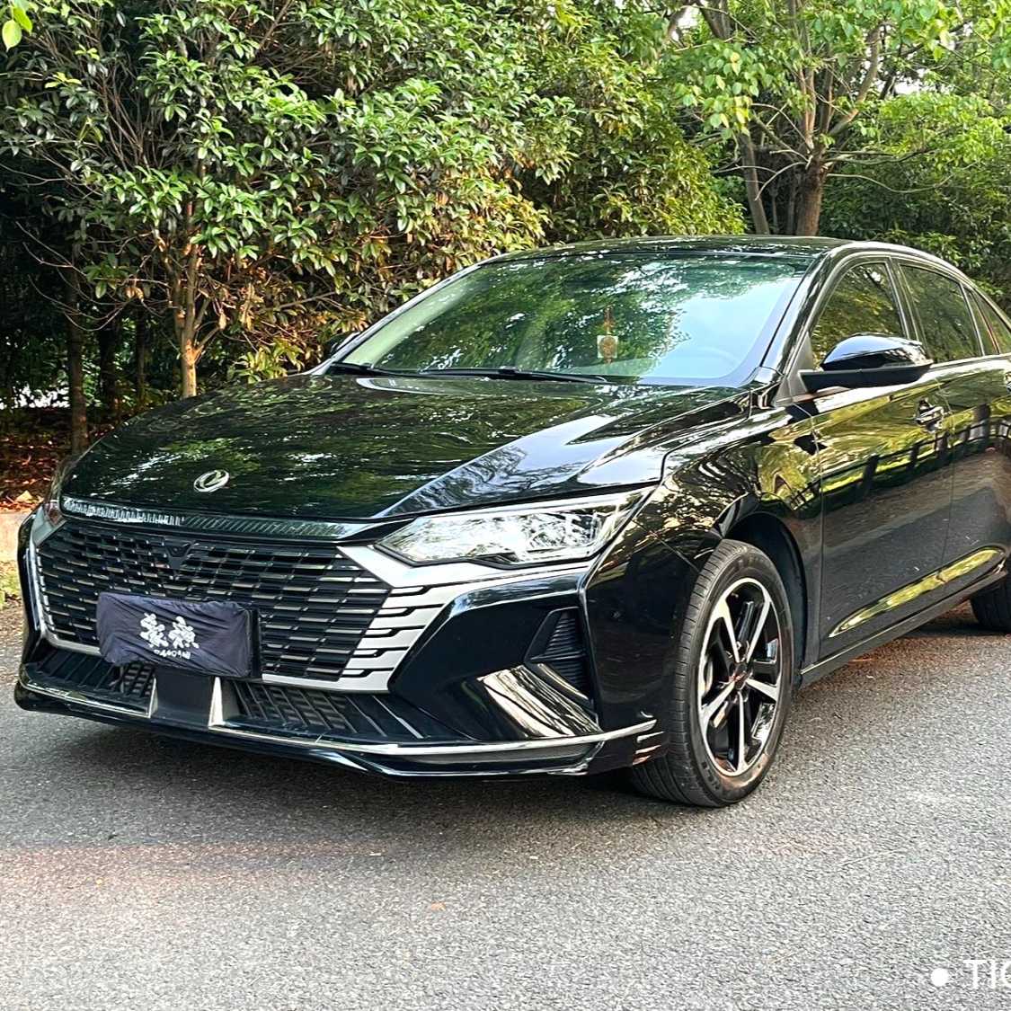 AEOLUS Yi Xuan MAX 2024 1.5T Luxury Edition 二手车
