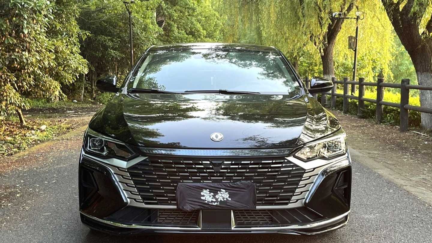 AEOLUS Yi Xuan MAX 2024 1.5T Luxury Edition