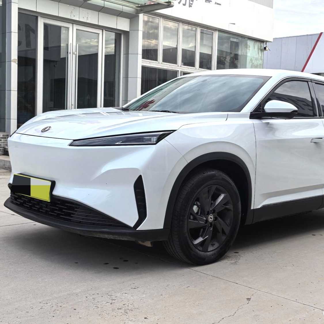 AEOLUS SKY EV01 2024 530km PRO 二手车