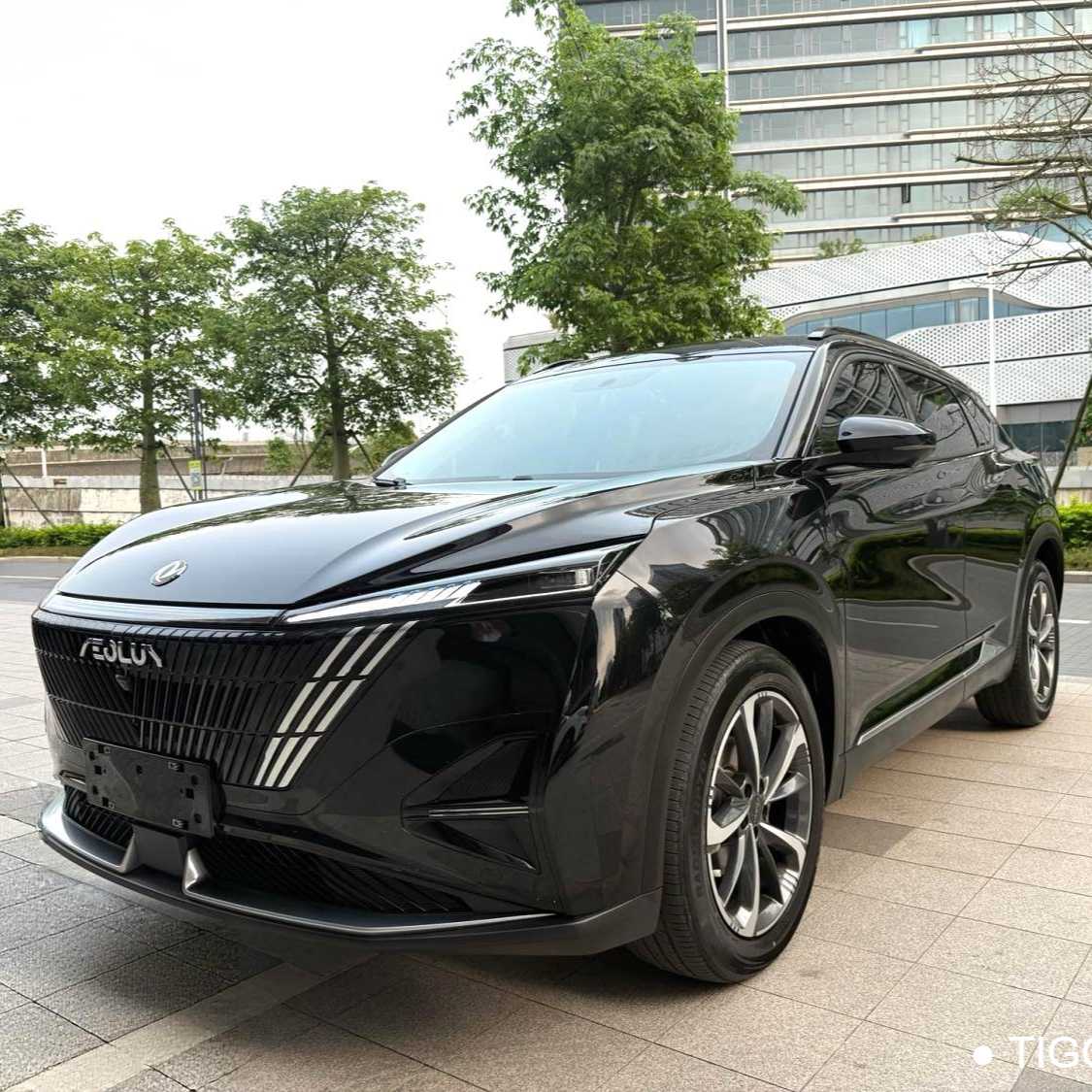 AEOLUS Haohan 2023 1.5T Luxury Edition 二手车