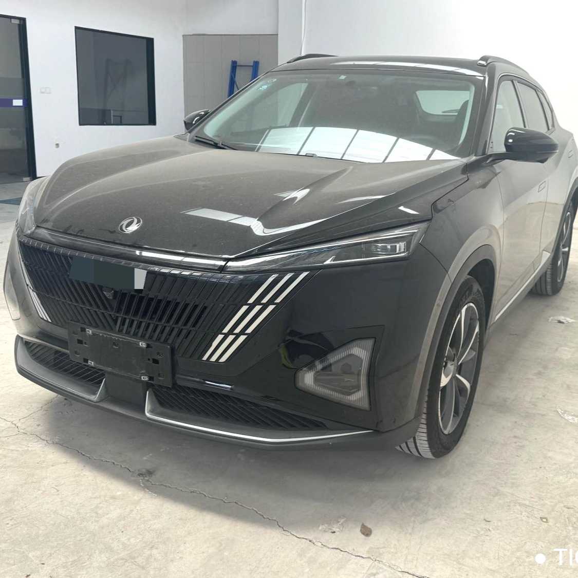 AEOLUS Haohan 2023 DH-i 1.5T Luxury Edition 二手车