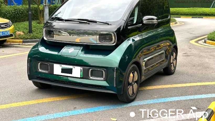 BAOJUN KiWi EV 2023 Intelligent Luxury Edition Lithium Iron Phosphate