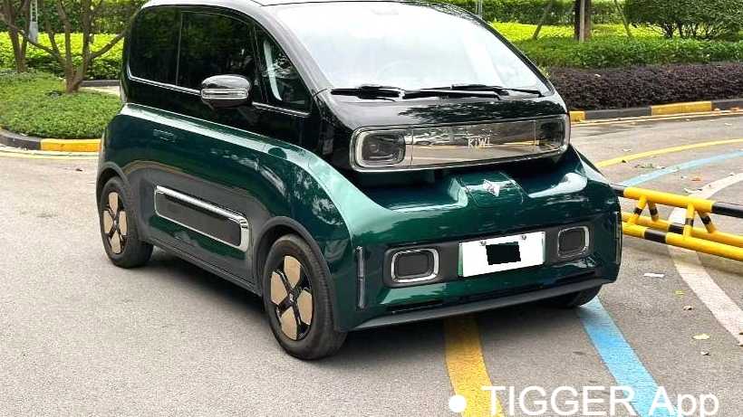 BAOJUN KiWi EV 2023 Intelligent Luxury Edition Lithium Iron Phosphate