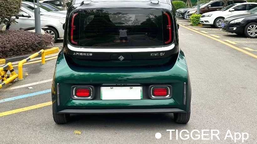 BAOJUN KiWi EV 2023 Intelligent Luxury Edition Lithium Iron Phosphate