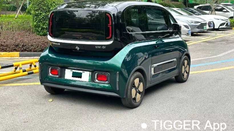 BAOJUN KiWi EV 2023 Intelligent Luxury Edition Lithium Iron Phosphate