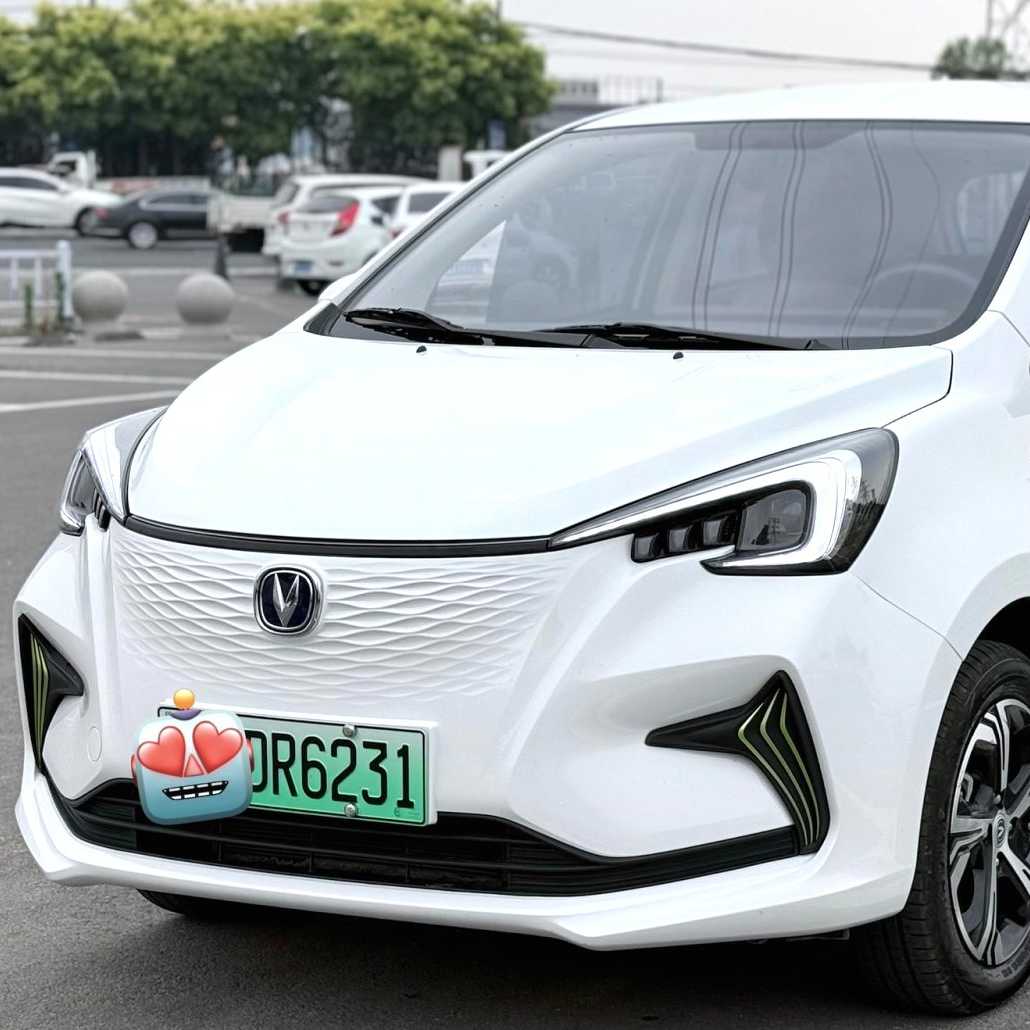 Changan Benben  E-Star 2022 Qingxin Edition Colorful Lithium Iron Phosphate سيارة مستعملة
