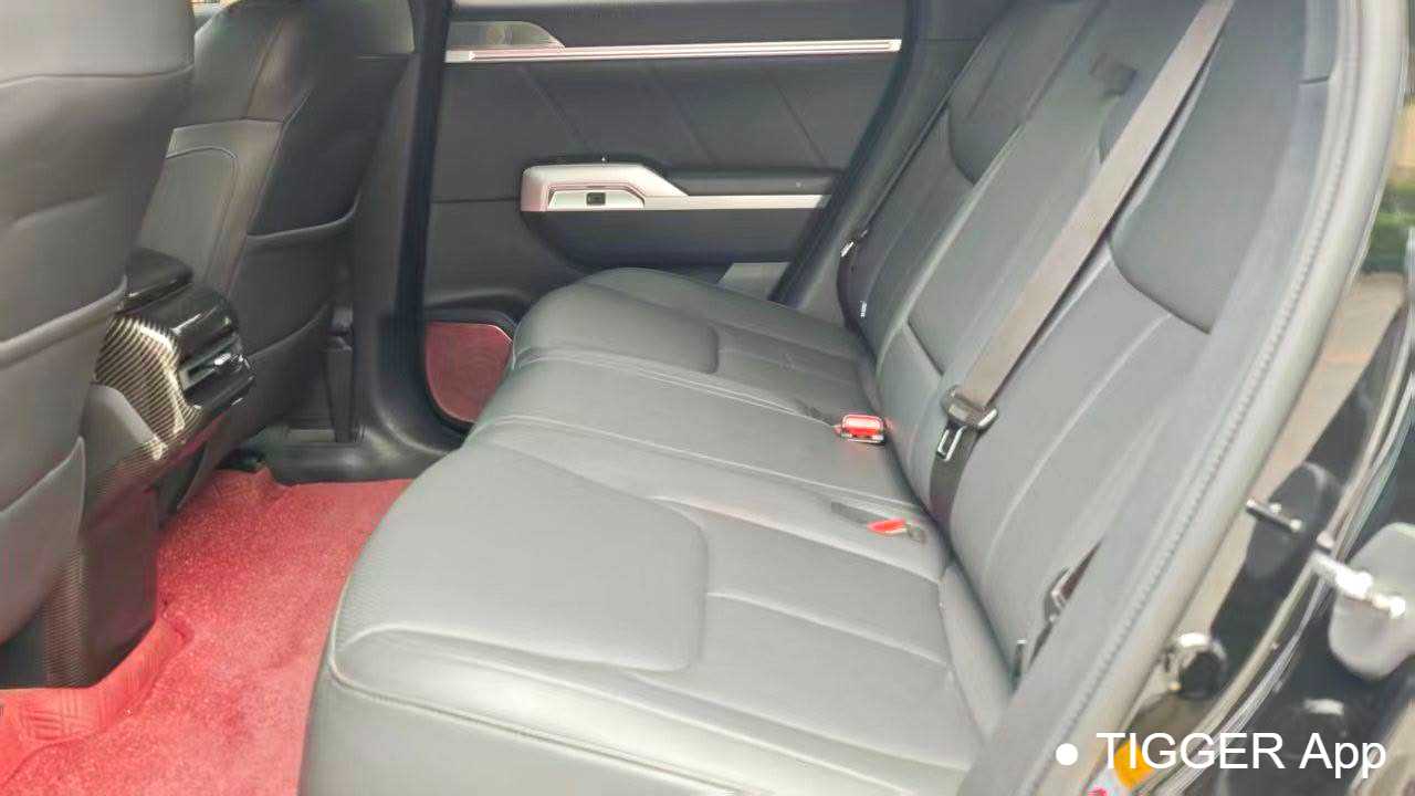 DEEPAL G318 2024 Four wheel drive air suspension version