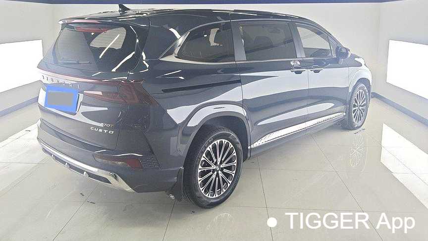 HYUNDAI Custo 2024 270TGDi LUX Premium Edition