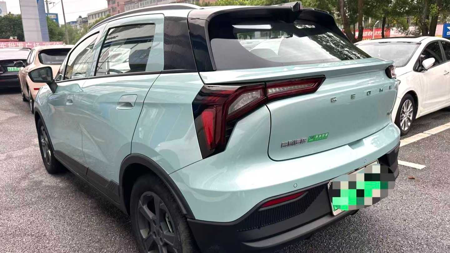 GEOME E 2024 401km fluorescence