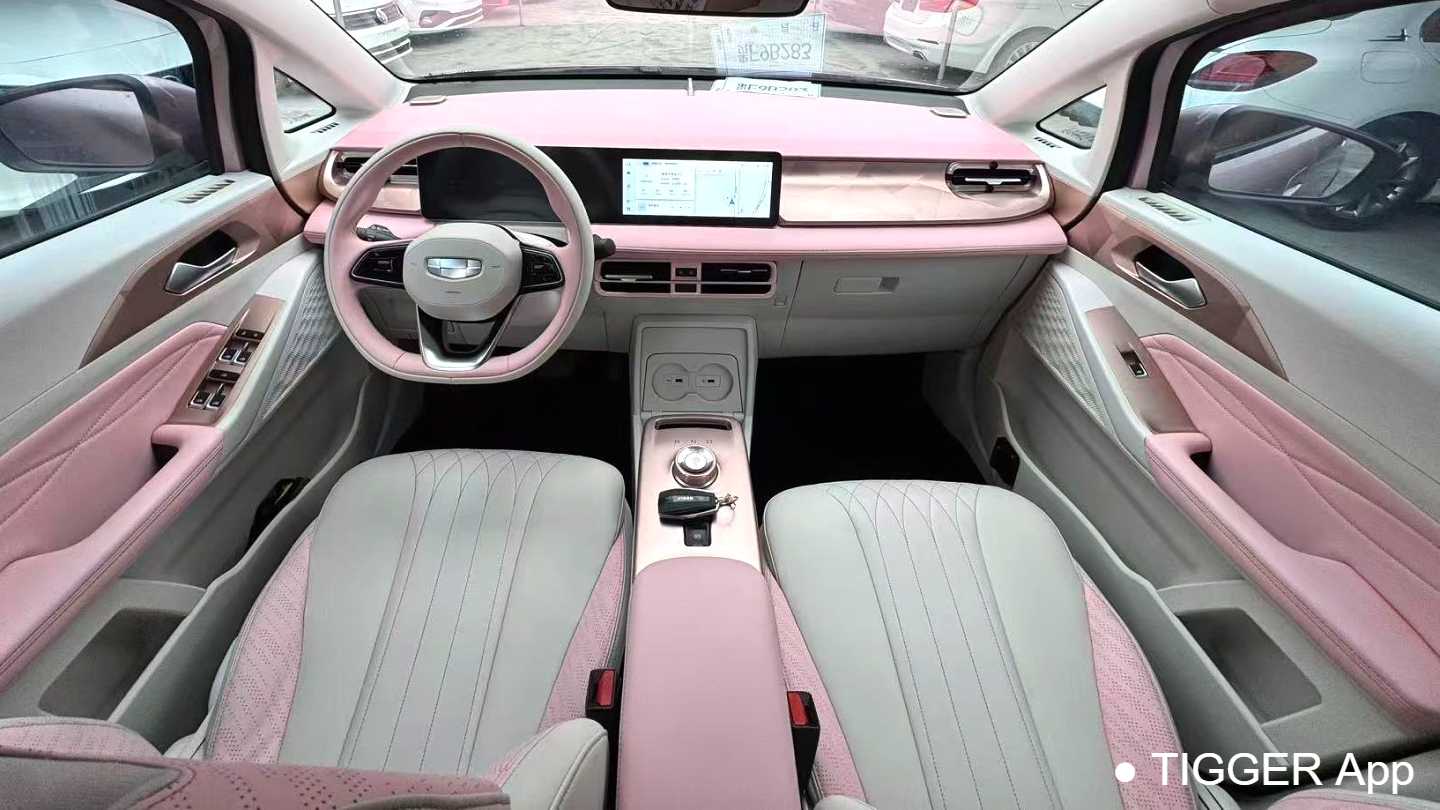 GEOME E 2023 401KM Thunderbolt Tiger with 5 seats