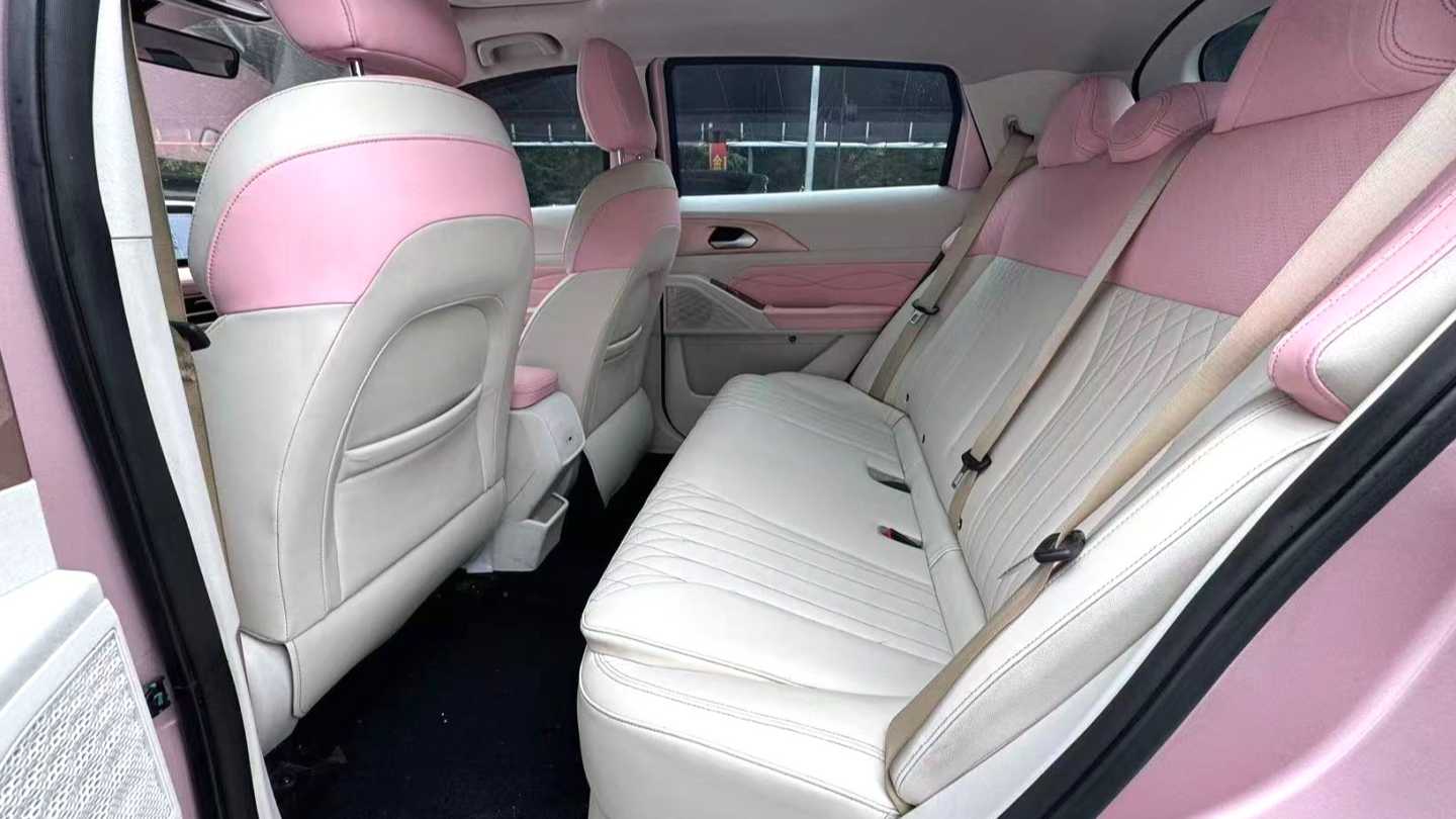 GEOME E 2023 401KM Thunderbolt Tiger with 5 seats
