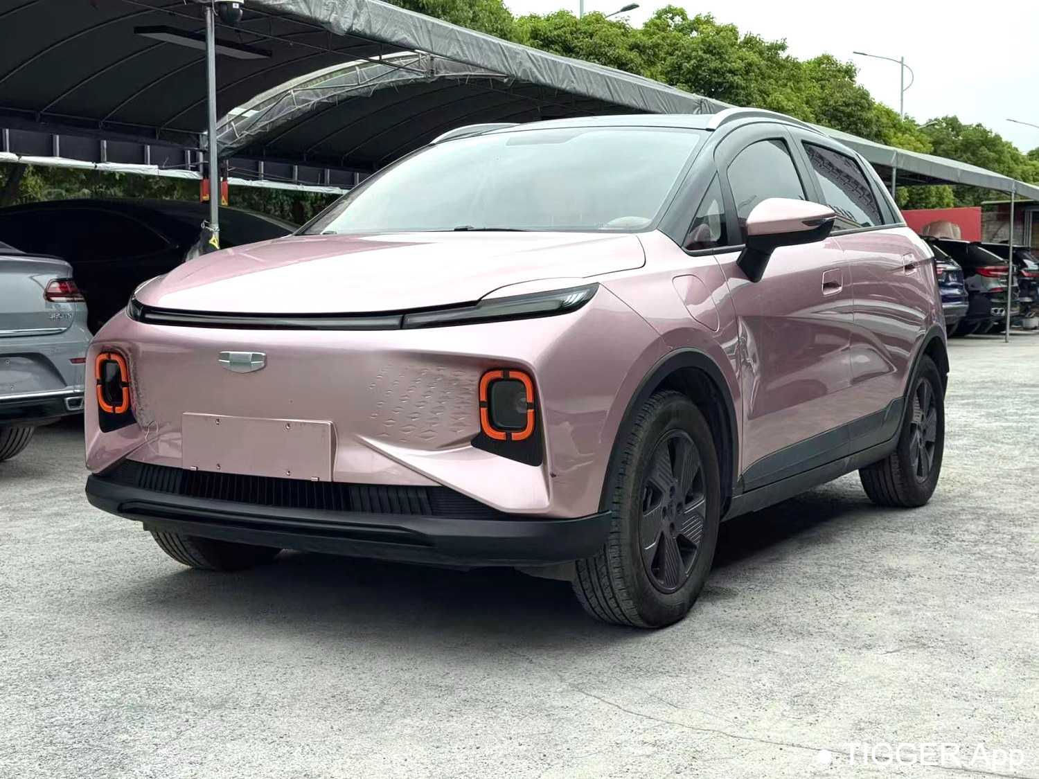 Подержанный GEOME E 2023 401KM Thunderbolt Tiger with 5 seats