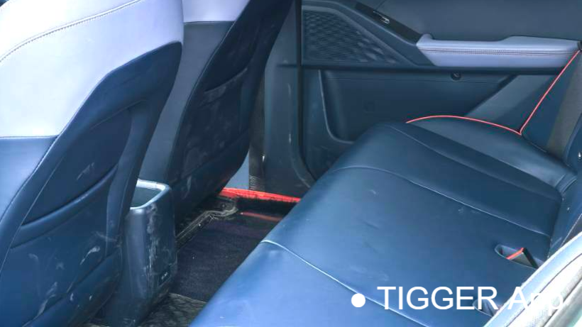 GEOME E 2022 320KM obedient tiger with 4 seats