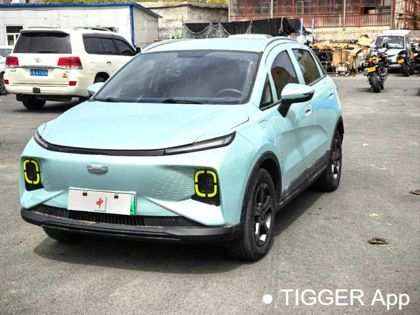 Подержанный GEOME E 2022 320KM obedient tiger with 4 seats