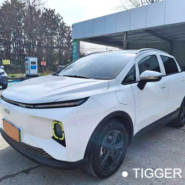 GEOME E 2023 320KM Handsome Tiger with 5 seats Подержанный автомобиль