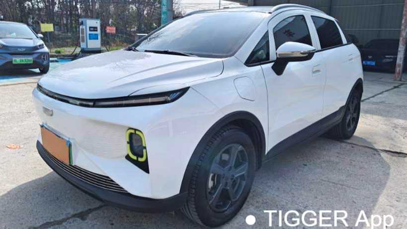 GEOME E 2023 320KM Handsome Tiger with 5 seats