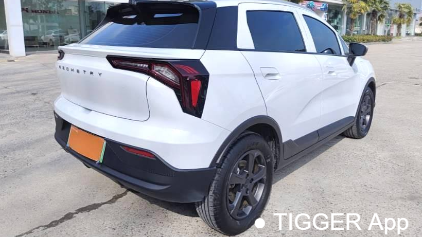 GEOME E 2023 320KM Handsome Tiger with 5 seats