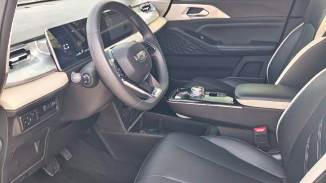 GEOME E 2023 320KM Handsome Tiger with 5 seats