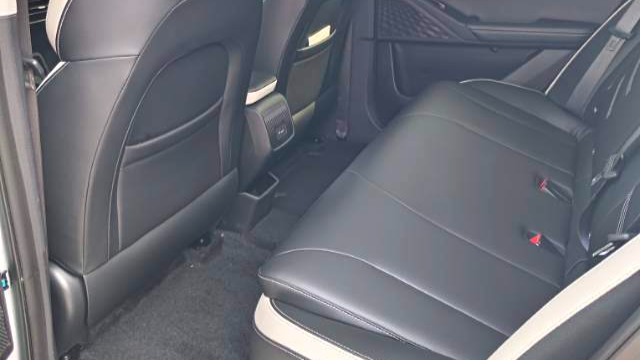 GEOME E 2023 320KM Handsome Tiger with 5 seats