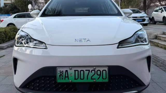 NETA AYA 2023 401
