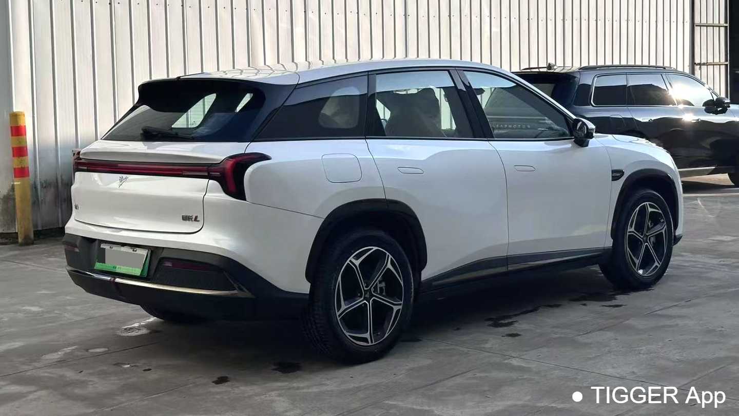 NETA L 2024 Extended Range 310 Flash Charging Edition