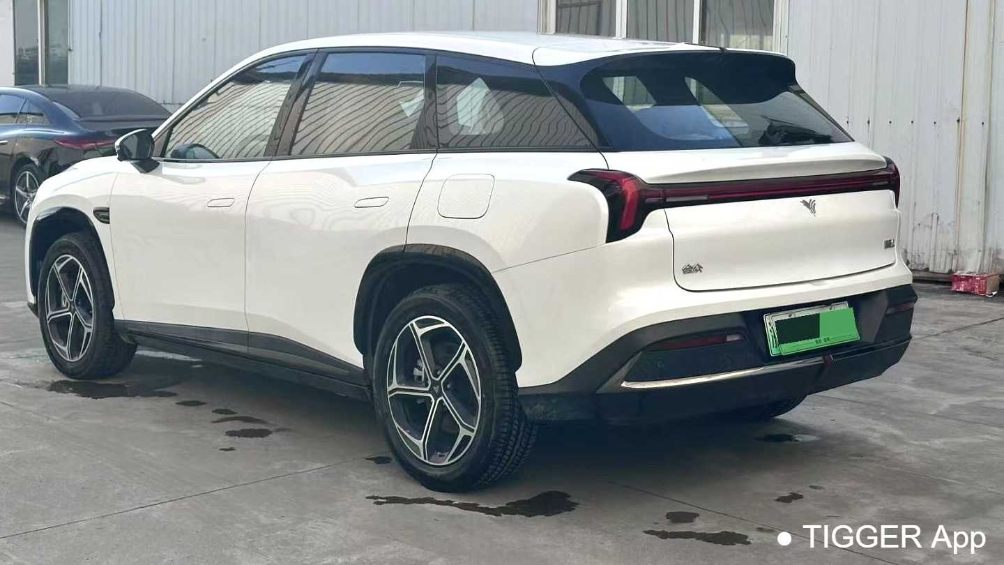 NETA L 2024 Extended Range 310 Flash Charging Edition