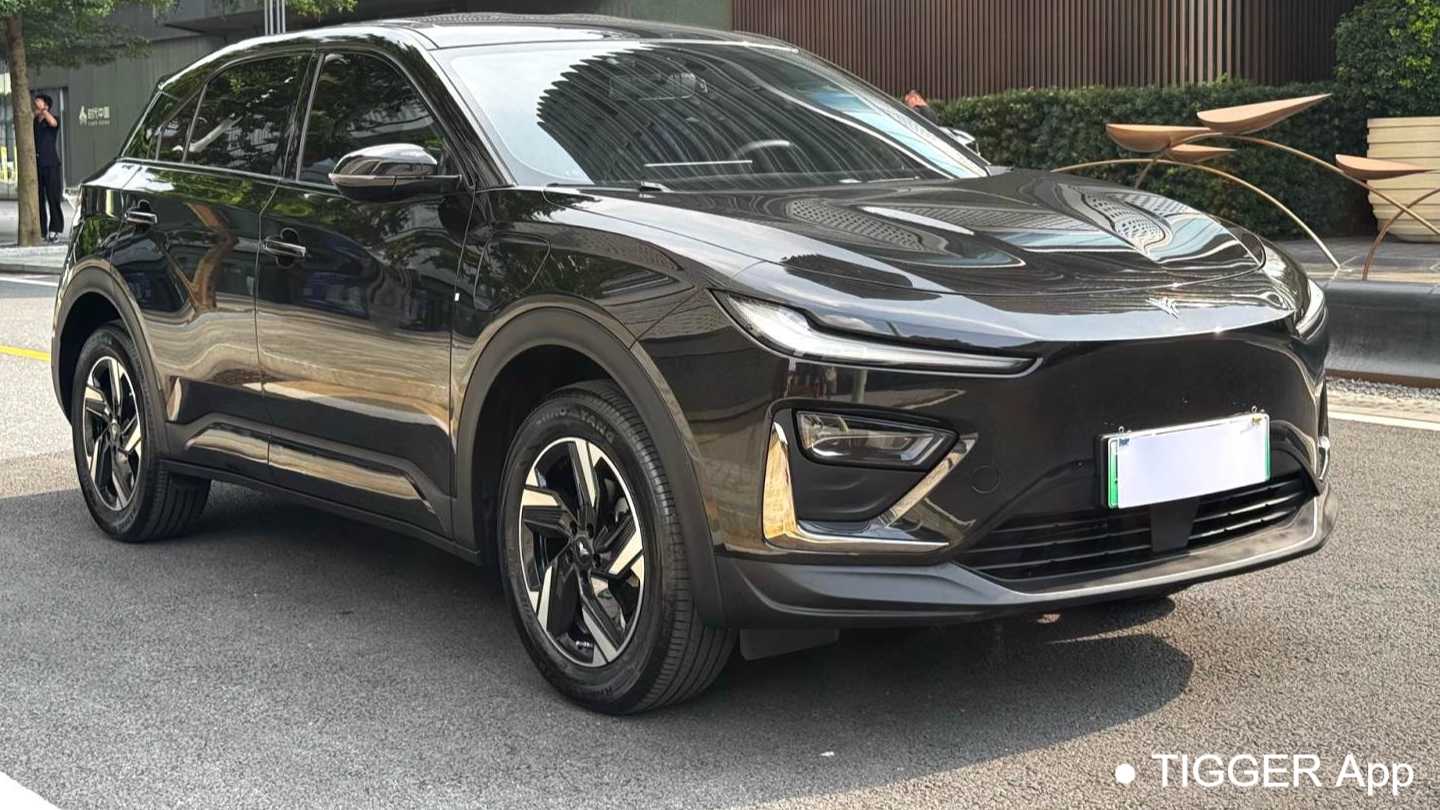 NETA X 2024 500 Advanced Edition