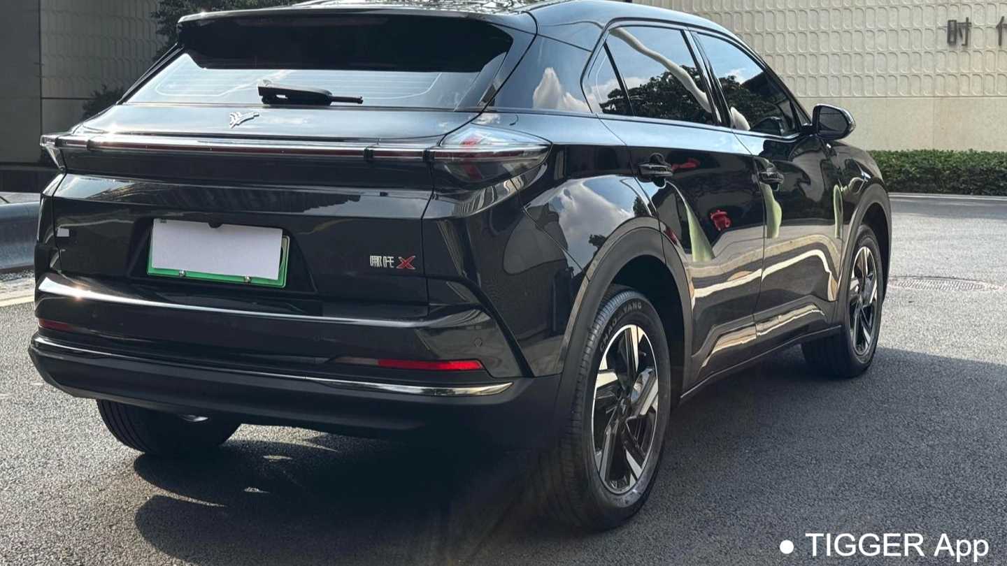 NETA X 2024 500 Advanced Edition