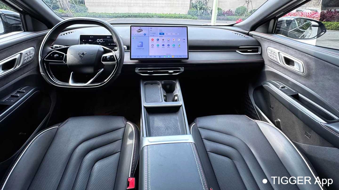 NETA X 2024 500 Advanced Edition