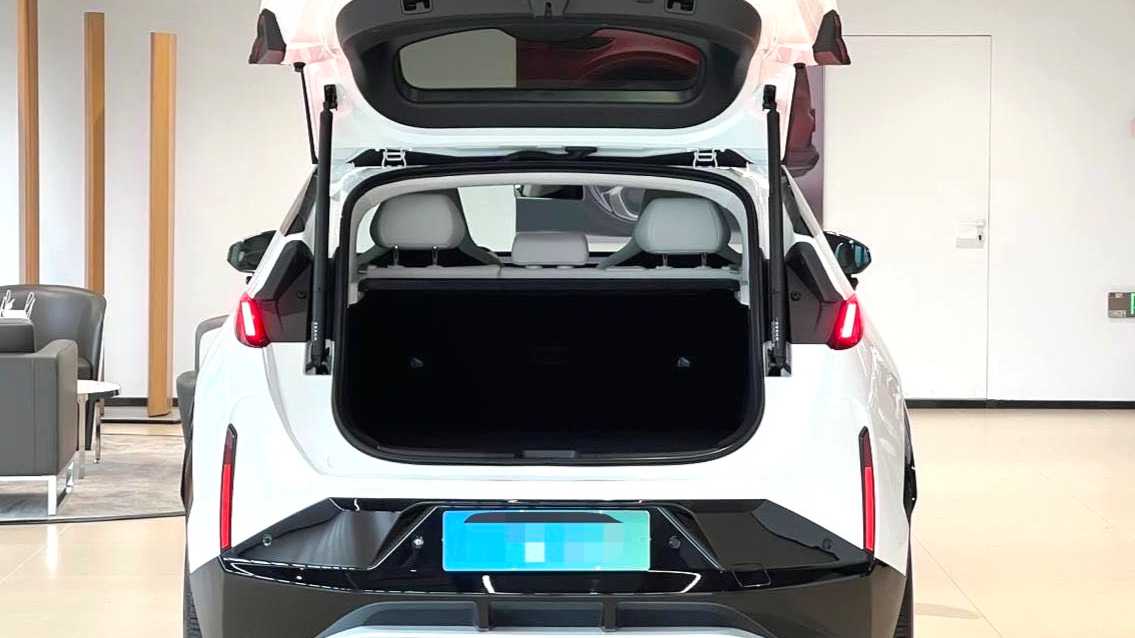 ZEEKR X 2025 Five seater long-range version