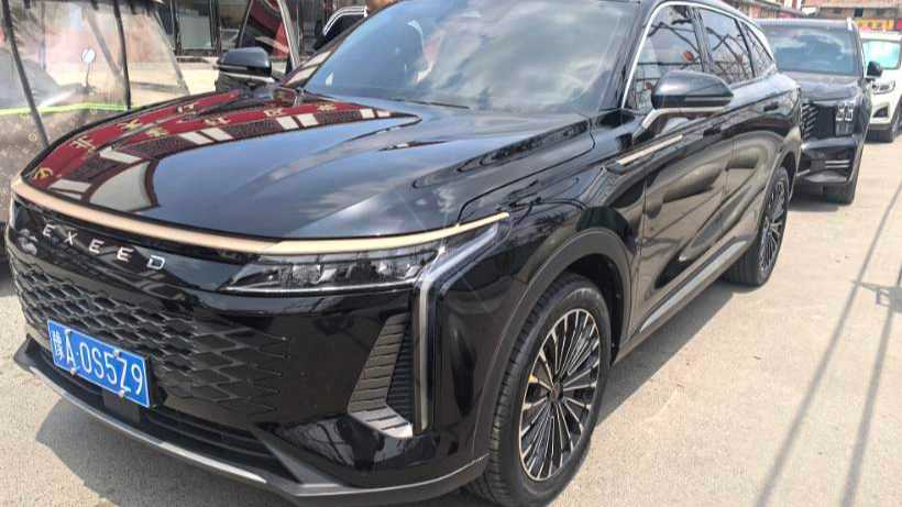 EXEED Yaoguang 2023 400T 4WD Optimal Enjoyment Flying Fish Edition