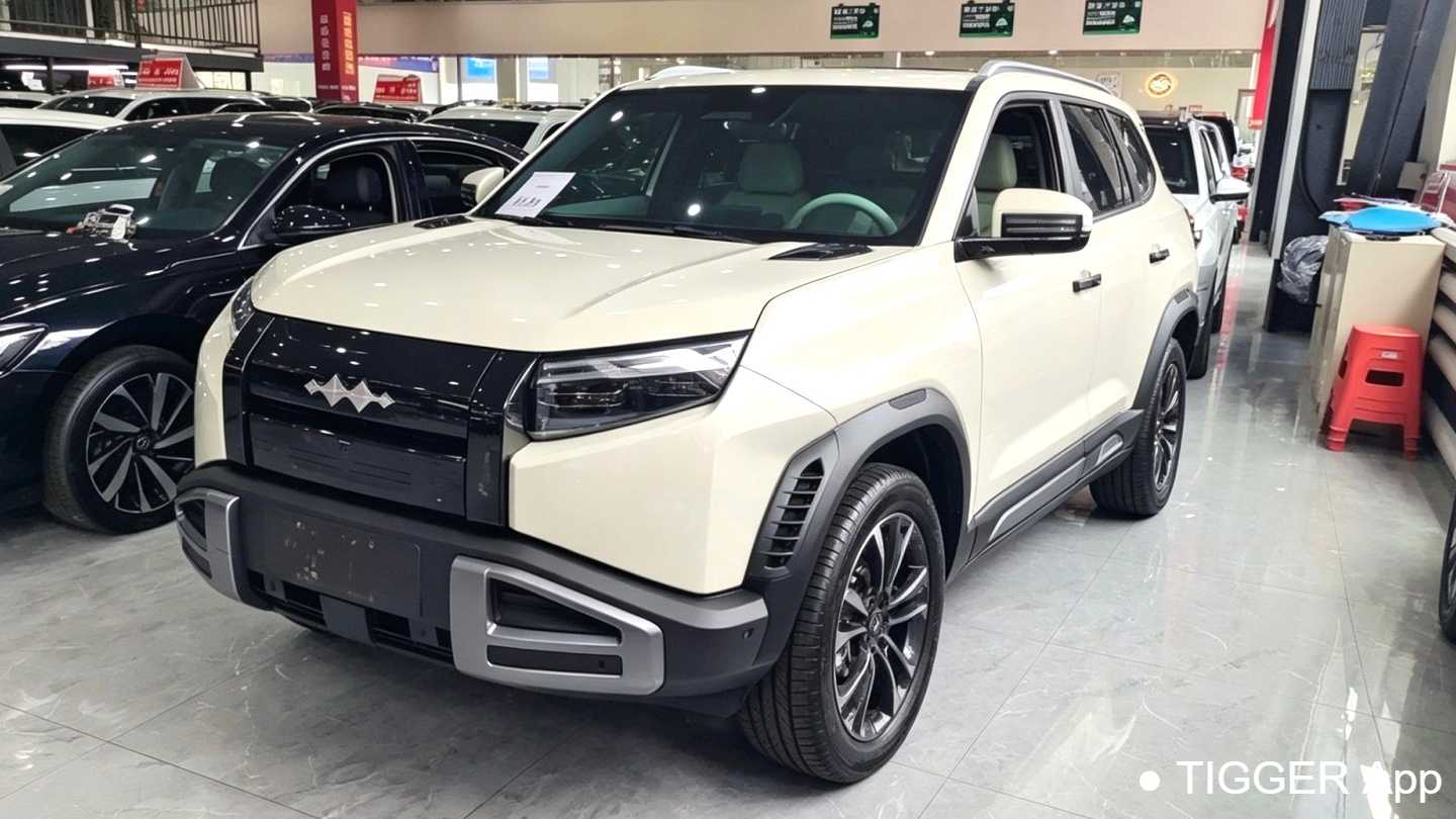 Formula Leopard‌ T3 2025 501KM rear wheel drive Max version