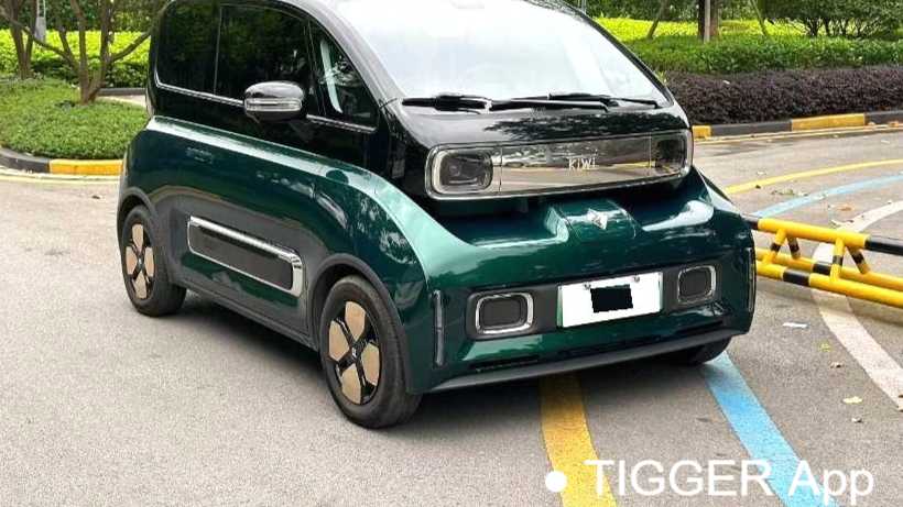 BAOJUN KiWi EV 2023 Intelligent Luxury Edition Lithium Iron Phosphate