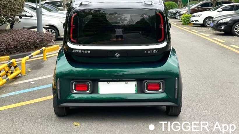 BAOJUN KiWi EV 2023 Intelligent Luxury Edition Lithium Iron Phosphate
