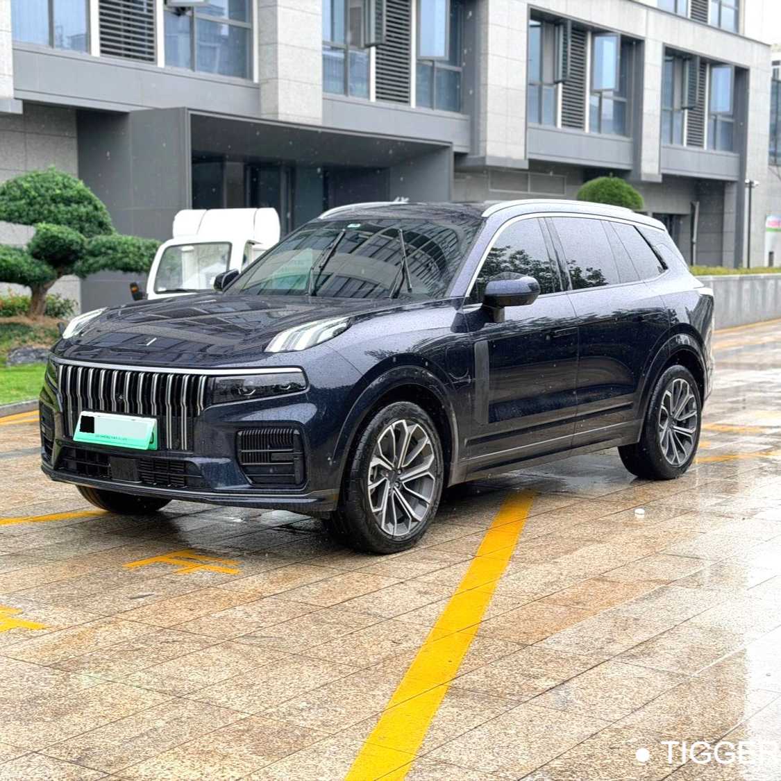 LYNK&CO 09 EM-P 2023 2.0TD EM-P 4WD Asian Games Executive Edition Five seater Used Car