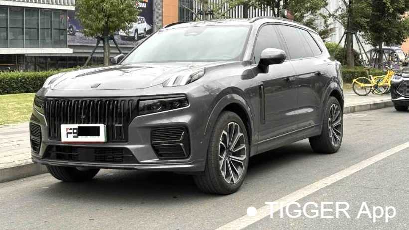 LYNK&CO 09 EM-P 2024 2.0TD EM-P four-wheel drive HALO six seater