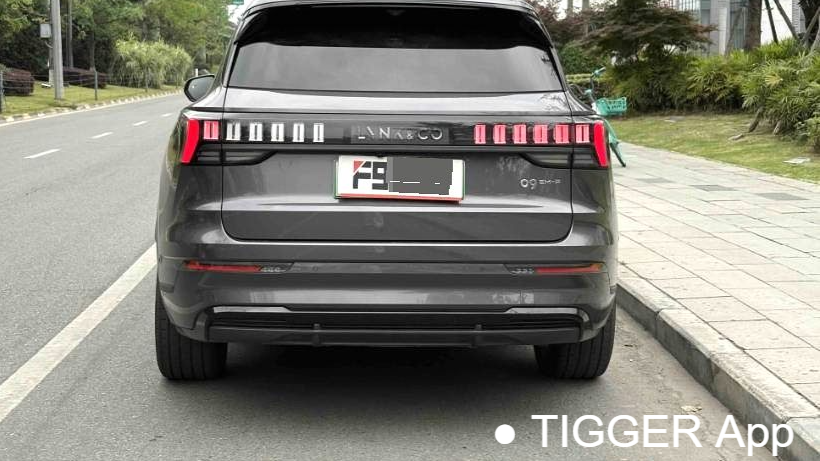 LYNK&CO 09 EM-P 2024 2.0TD EM-P four-wheel drive HALO six seater