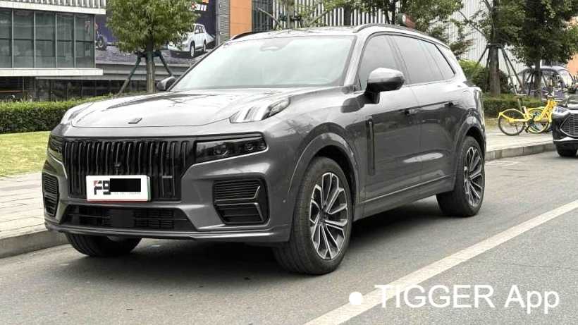 LYNK&CO 09 EM-P 2024 2.0TD EM-P four-wheel drive HALO six seater