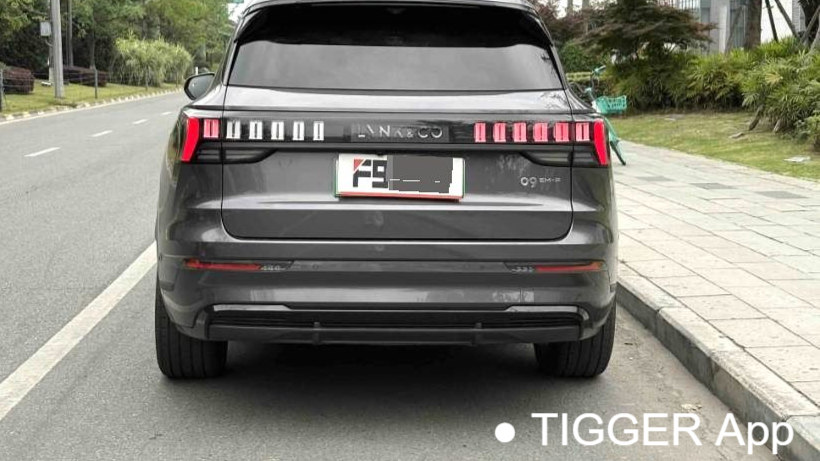 LYNK&CO 09 EM-P 2024 2.0TD EM-P four-wheel drive HALO six seater