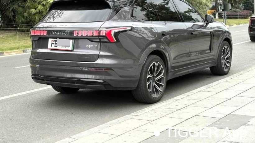 LYNK&CO 09 EM-P 2024 2.0TD EM-P four-wheel drive HALO six seater